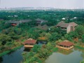 航拍杭州西溪湿地 (3)